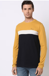 Regular Fit Colourblock Crew-Neck T-Shirt