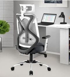 ASTRIDE Ergofit Ergonomic Office Chair for Home