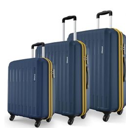 Safari Genius Alley Set of 3