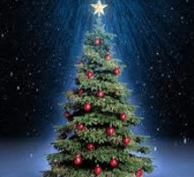 Christmas Offers
