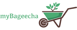 MyBageecha Coupons
