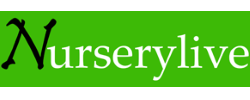 Nurserylive Coupons