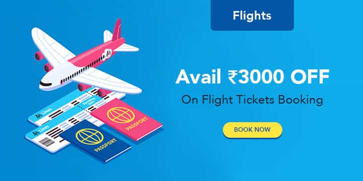 visit usa flight coupons