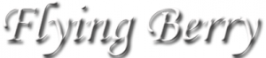 Flying Berry Logo