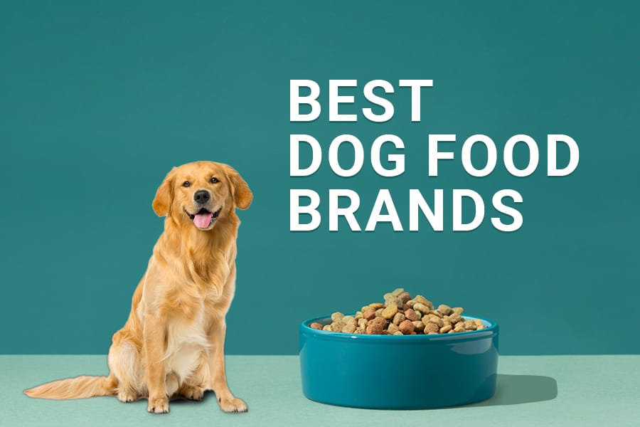 19 Best Dog-Food Brands in India for 2024