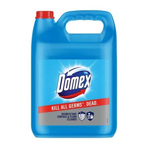 Domex