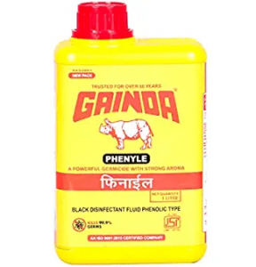 Gainda