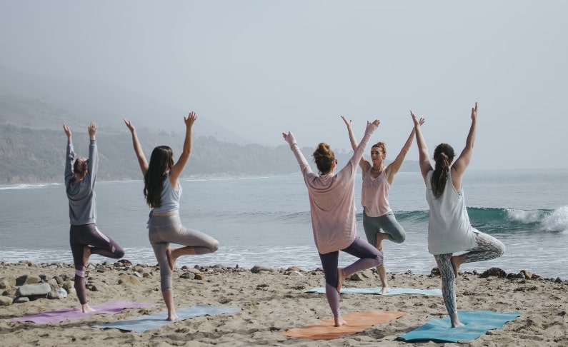The Wellness Retreat Seeker