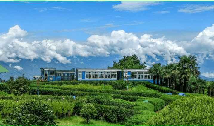 darjeeling honeymoon destination